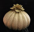 209048 2026 Urn bloem 800